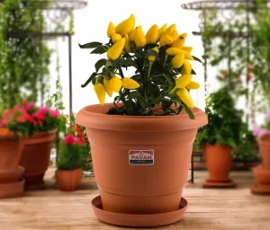 Pavan Flora Planter 12Inch Without Plate ( Plastic Planter Pot For Gardening )