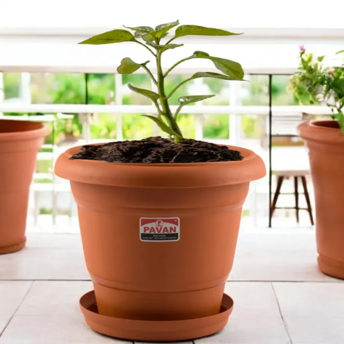 pavan planter-10-inch-1